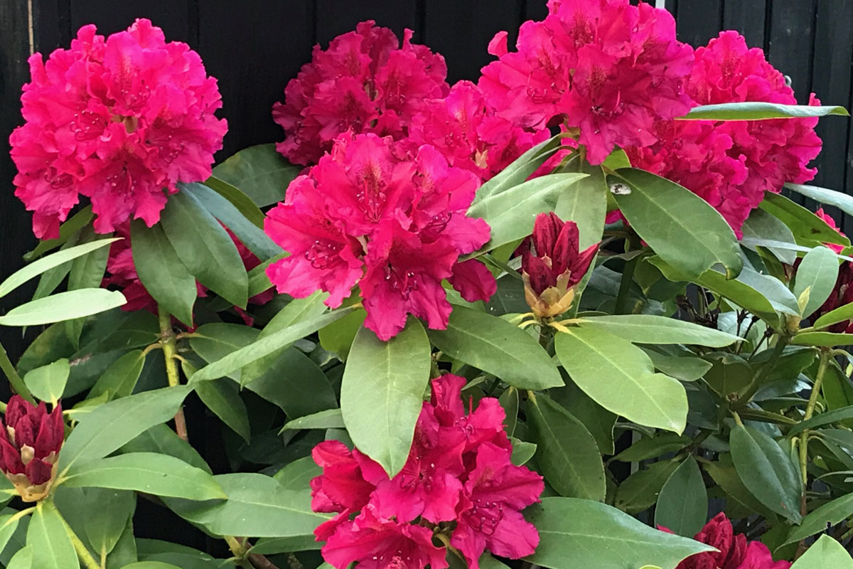 kontorfællesskab i Hornslet